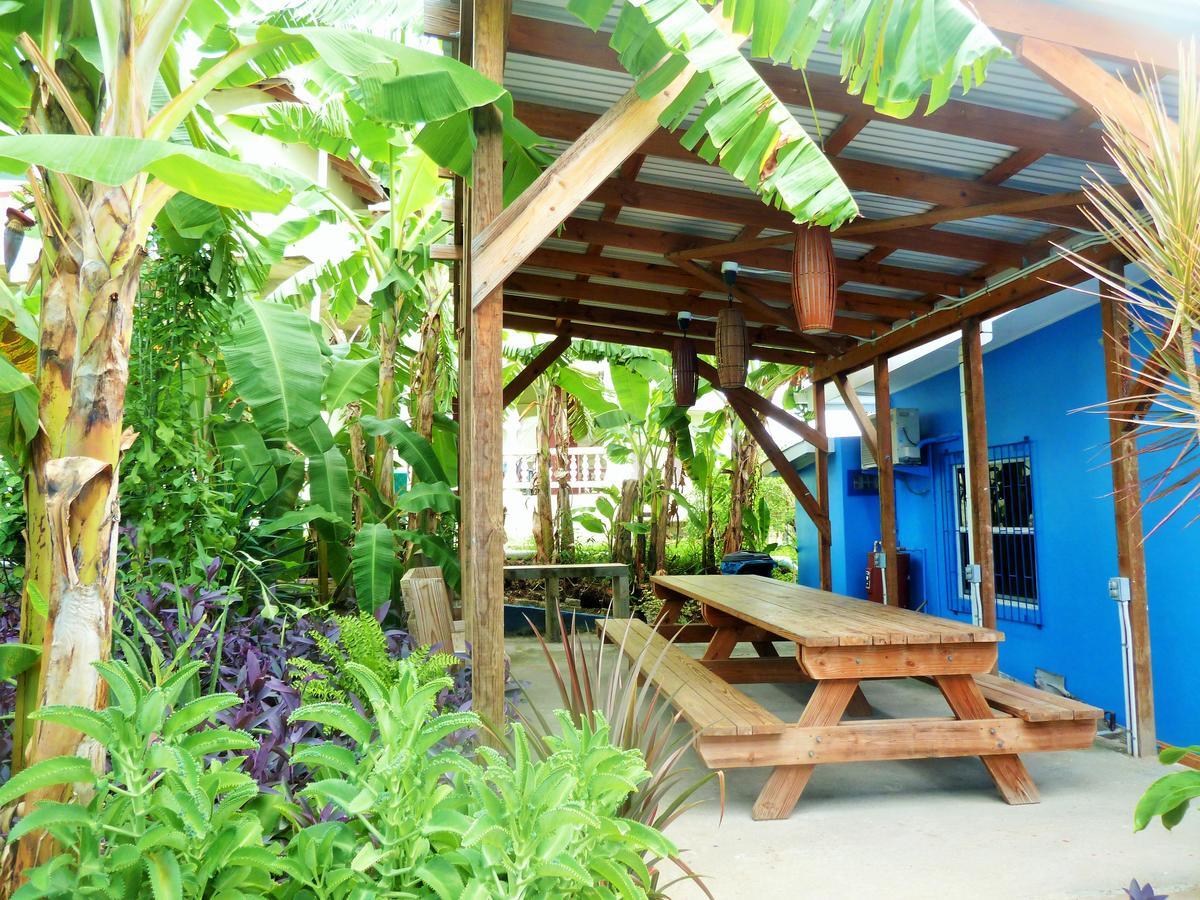Miller'S Guest House Buccoo Esterno foto